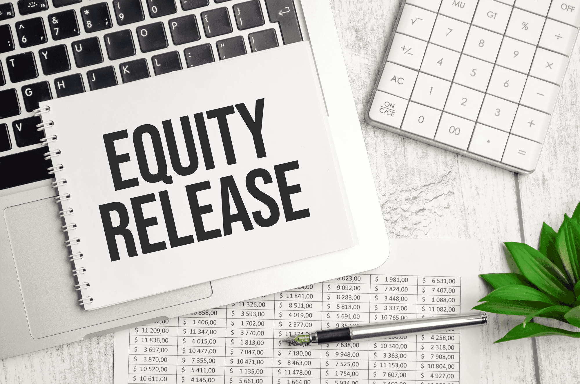 Equity release — accessing home equity for investment