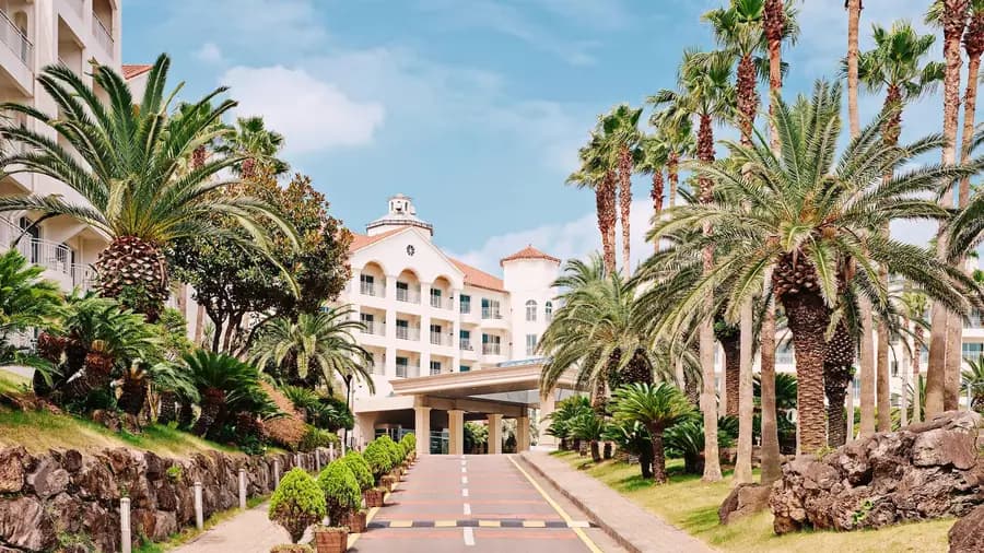 Palm-lined resort arrival court